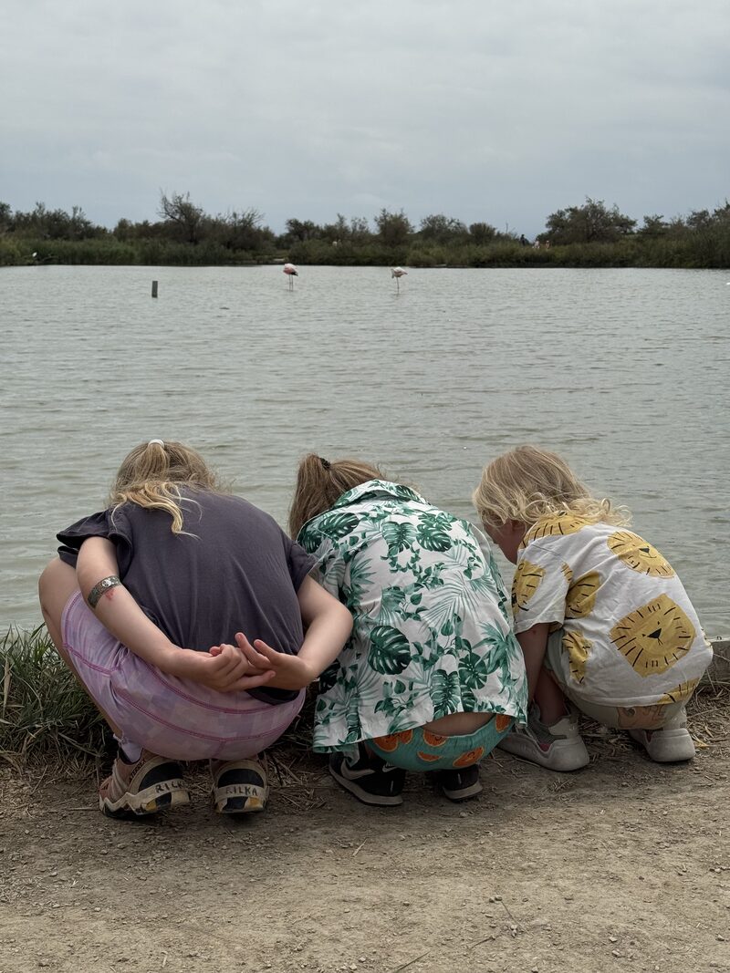 My three kids crouched at the edge of a lake, watching flamingos.